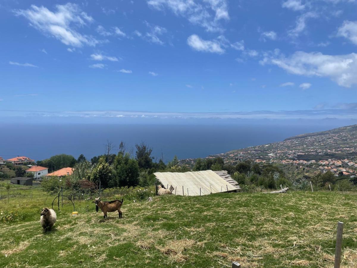 Villa Da Silva Arco da Calheta (Madeira) Exterior foto